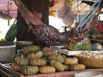 Mekong, un río de vida - Kratie (Camboya)
