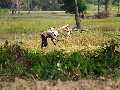 Mekong, un río de vida - Kratie (Camboya)