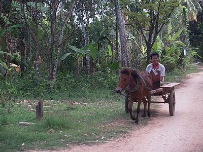 Mekong, un río de vida - Kratie (Camboya)