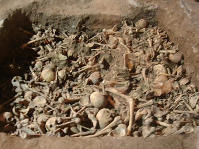 Excavaciones Arqueológicas (Yuso, La Rioja, España, 2008)