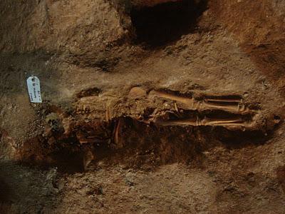 Excavaciones Arqueológicas (Yuso, La Rioja, España, 2008)