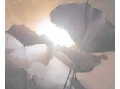 …Imposible pasar ahísin fuese tocada almaBashô...