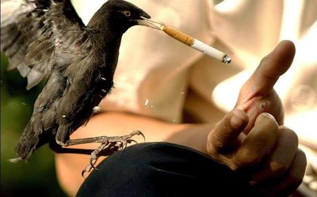 Imágenes para sonreir