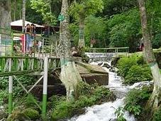 ¿Cuál corto mundo?