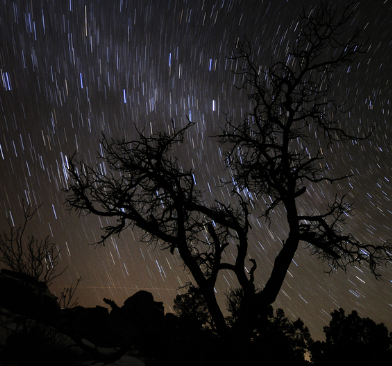 Un domingo de invierno y estrellas