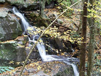 Southeast US: Día 2, Great Smoky Mountains