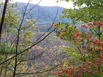 Southeast US: Día 2, Great Smoky Mountains