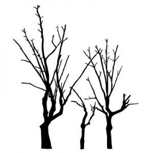 158.- Atrapar una nube