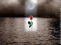 recomenzar Recomenzar