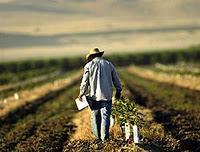 ¿Externalidades Negativas en los Inmigrantes con bajo nivel de entrenamiento en los EE.UU?