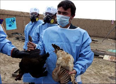 ¿Censura o seguridad virológica? El caso del H5N1