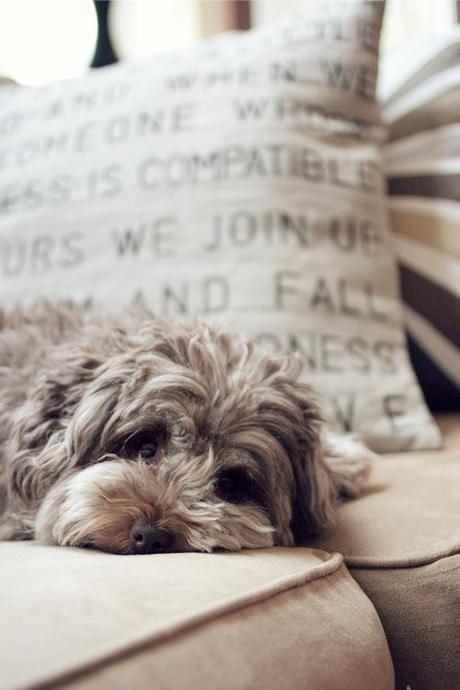 Diy: Stencil en un cojín con la letra de tu canción favorita