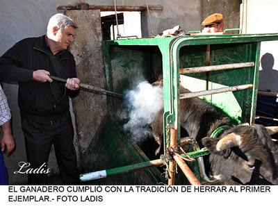 JORNADA TAURINA EN EL MATO