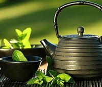 El poder del té verde