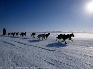Iditarod: La Última Gran Carrera