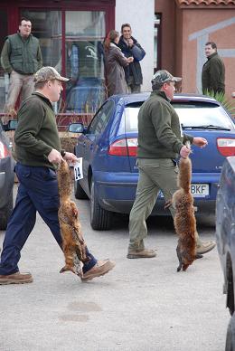 Matanza de zorros en Galicia por el placer de matar.