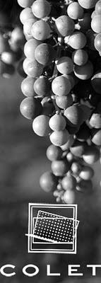 COLET-NAVAZOS 2008 EXTRA BRUT  ( Colet- Navazos // DO. Penedès)