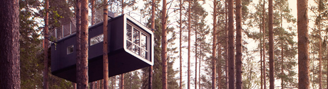 TreeHotel TreeHotel