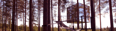 Habitación del TreeHotel