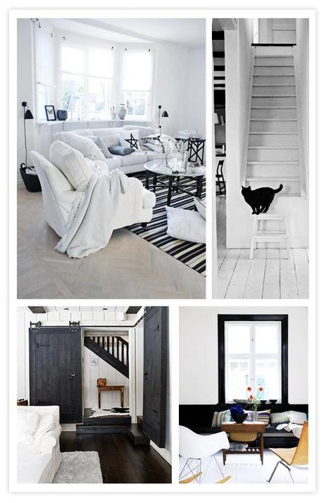 adultosbn5 EN BLANCO Y NEGRO