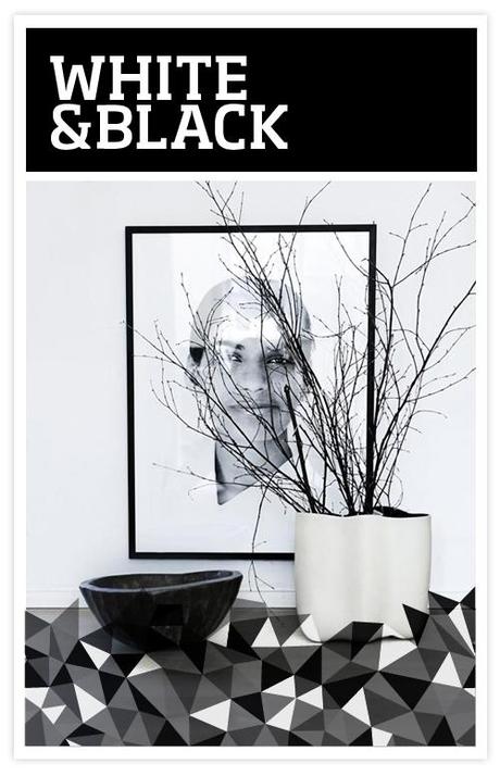 adultosbn EN BLANCO Y NEGRO