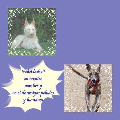 ... se nos han colado Diva e Himilce ....