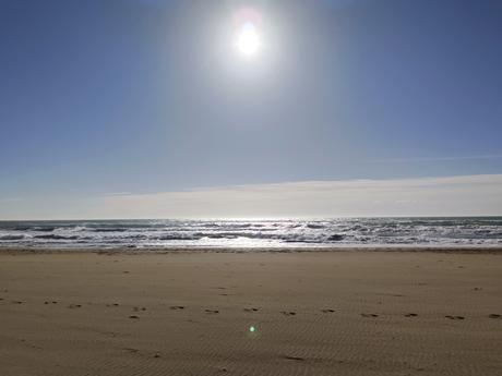 Un año más tarde Un año más tarde