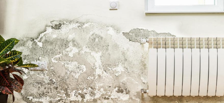 Control de la humedad: clave para el confort y la salud en el hogar pared-con-humedad