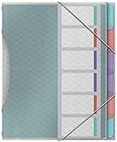 Esselte Carpeta Divisora con 6 Pestañas, A4, Organizador de Documentos Libre de Ácidos, Fundas de Plástico Transparente, Casa/Oficina, Patrón en Relieve, Gama Colour'Breeze, Multi Colour, 626255