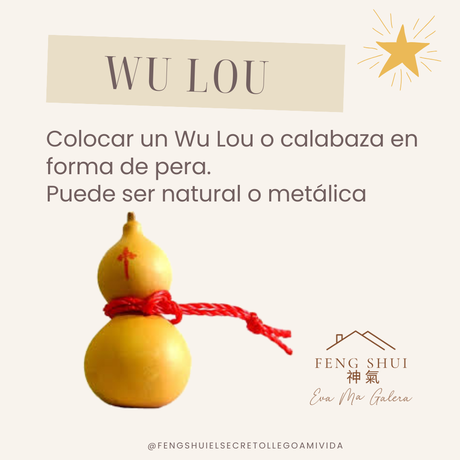 ⭐Estrellas 2 y 5 en 2024