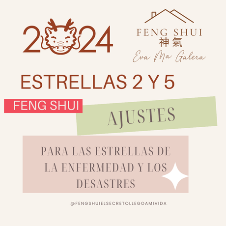 ⭐Estrellas 2 y 5 en 2024