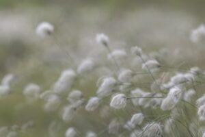 Comprender los parámetros *args y **kwargs de las funciones Python