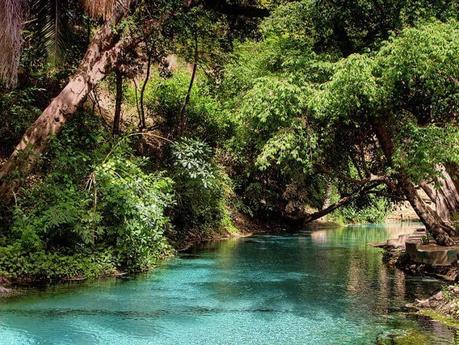 Parque Nacional Yankari