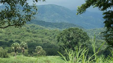 Parque Nacional Gashaka Gumti