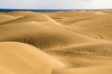 Qué ver en Gran Canaria en un día