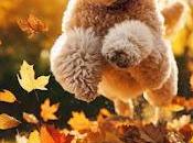 PISTOLA CORAZÓN William Logan