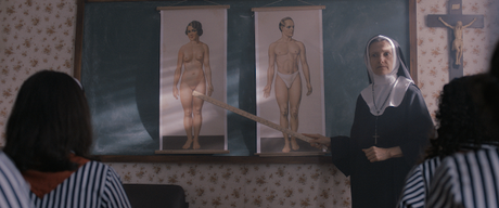 Festival de Berlín 2024 - Parte 2: Deseos