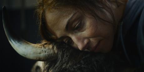 Festival de Berlín 2024 - Parte 2: Deseos