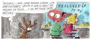 De las políticas de Estado