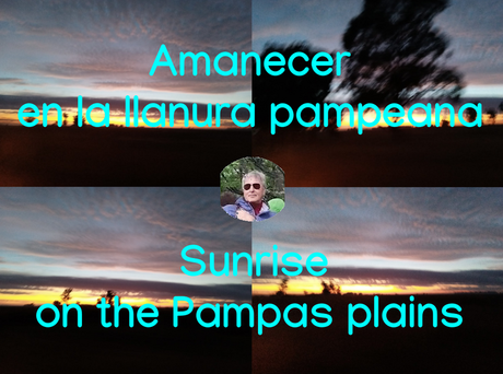 209.-Amanecer-llanura-pampeana.png