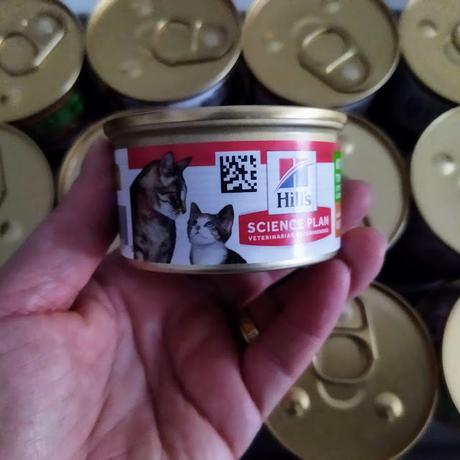 Probando Hill's Science Plan Kitten & Mother Mousse