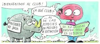 De los amores idiotas