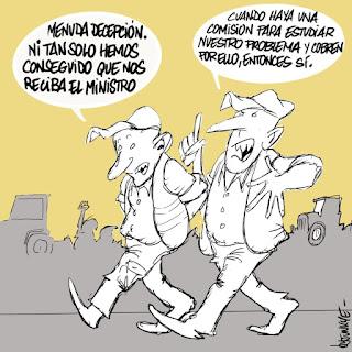 De los amores idiotas