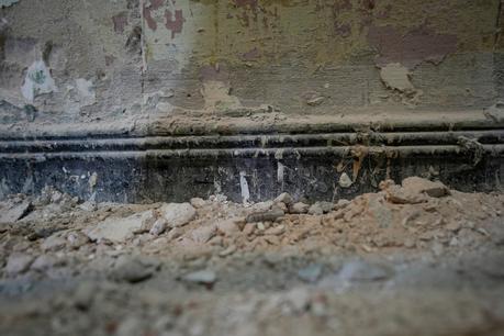 De Uruguay a Tintoretto: Latente, el envío local a la Bienal de Venecia De Uruguay a Tintoretto: Latente, el envío local a la Bienal de Venecia