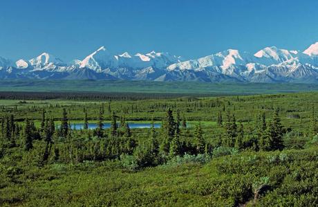 Qué es un Bioma: Conoce los Tipos de Existen