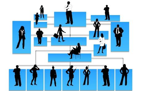 Evolución de la estructura organizacional: de jerarquía a comunidad