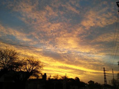 Sunset in a field village in the Argentine pampas 250.-20220614_180951.jpg