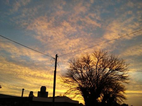 Sunset in a field village in the Argentine pampas 250.-20220614_180938.jpg