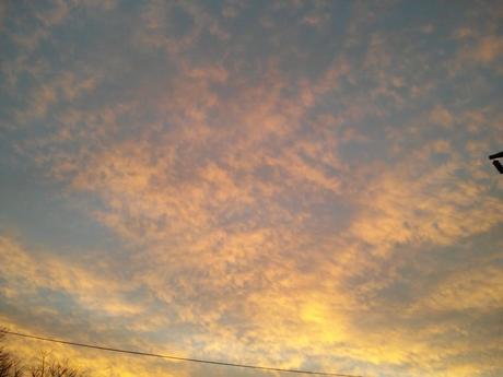 Sunset in a field village in the Argentine pampas 250.-20220614_180958.jpg