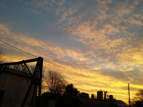 Sunset in a field village in the Argentine pampas 250.-20220614_180907.jpg